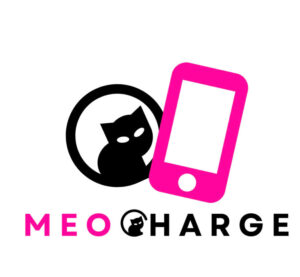 Lo Go Meo Phu Kien 768x709 1